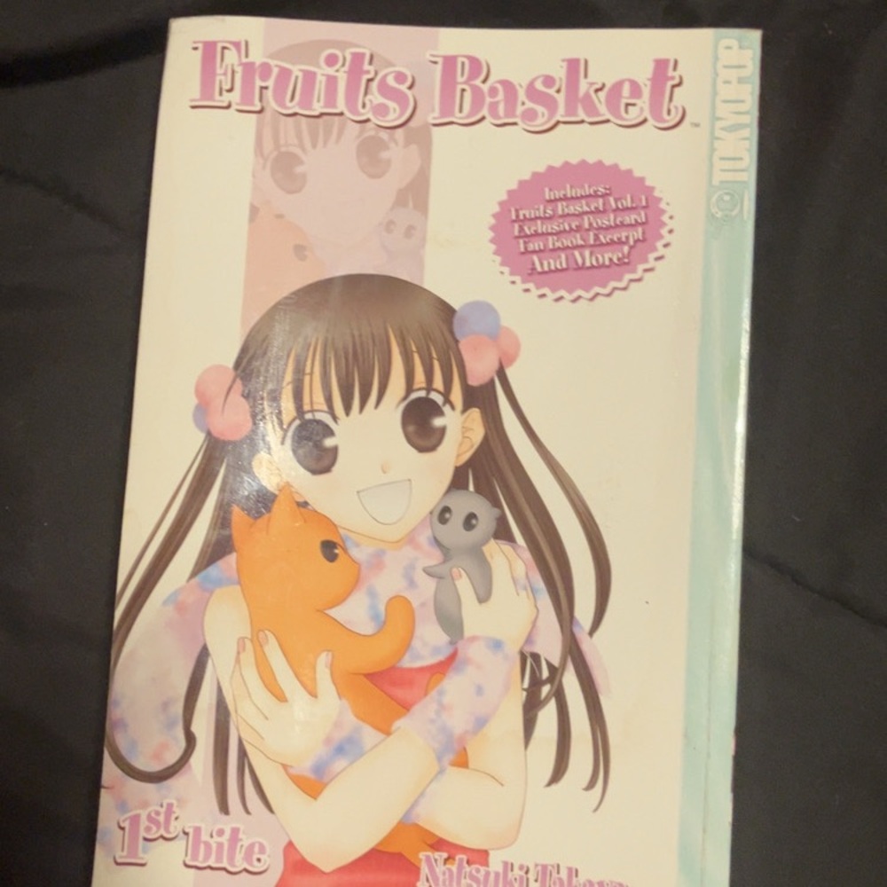 Fruits Basket Manga Volume 1